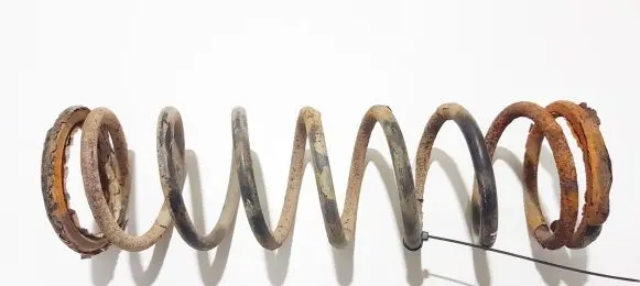 Ford Focus Rear coil spring