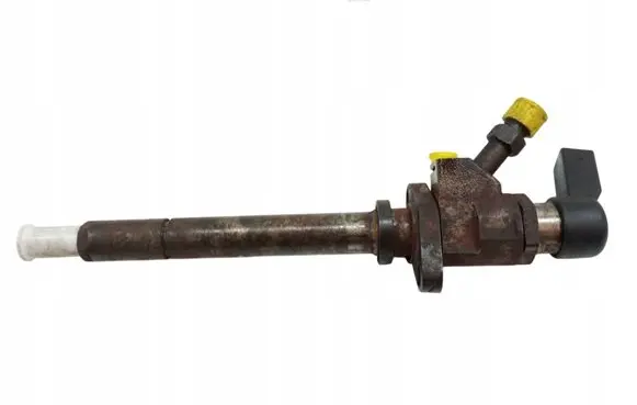 Peugeot 407 Fuel injector 9657144580