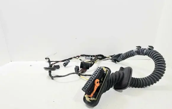 Porsche Cayenne (92A) Front door wiring loom 7P5971161A