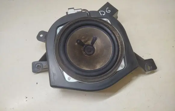 Rear door speaker