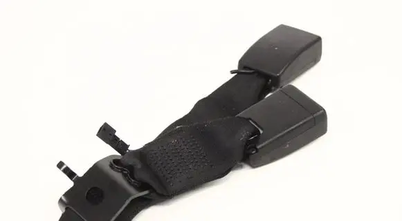 Volkswagen Jetta V Middle seatbelt buckle (rear) 7355471