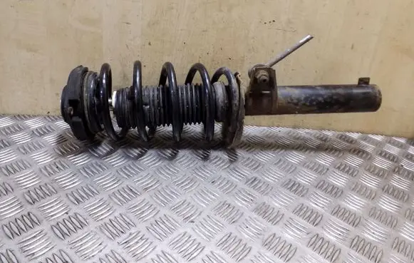 Skoda Yeti (5L) Front shock absorber with coil spring 1K0412022D