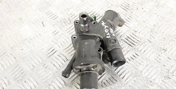 Thermostat/thermostat housing