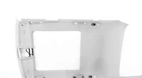 BMW X1 E84 Headlining 2993916 51442993916