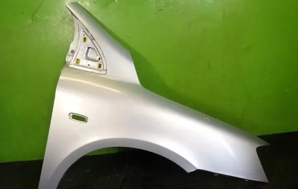 Fiat Multipla Fender