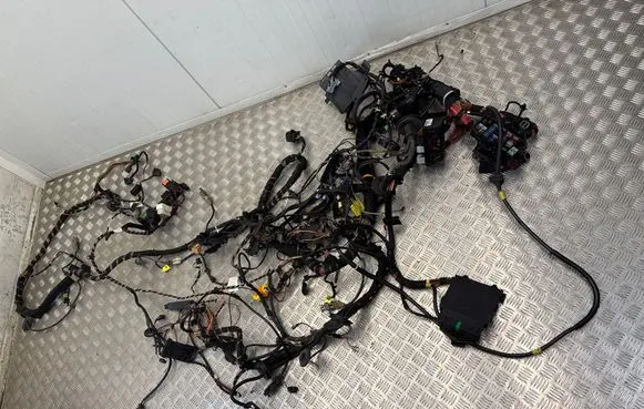 Porsche Cayman 987 Other wiring loom