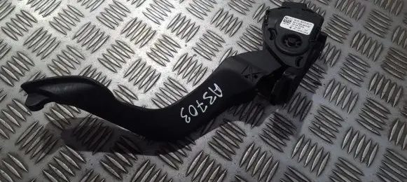 Peugeot 207 Accelerator throttle pedal 968300148001