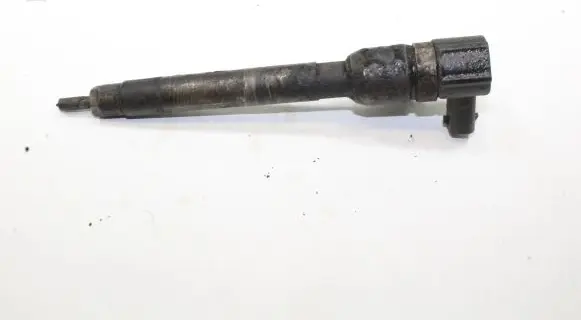 KIA Sportage Fuel injector 338002F300