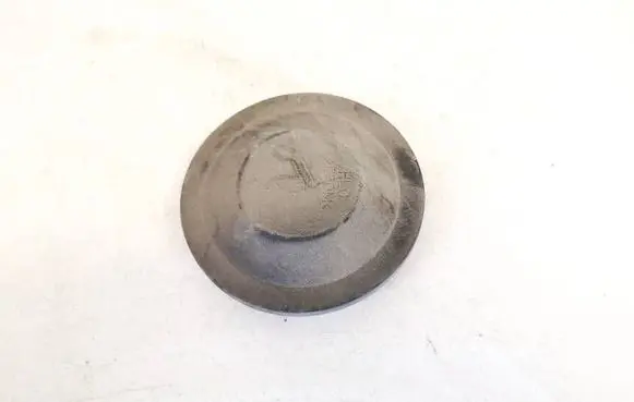 Headlight/headlamp dust cover