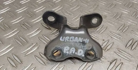 Toyota Urban Cruiser (XP110) Front door lower hinge 