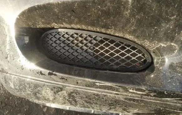 Mercedes-Benz S W220 Front bumper lower grill