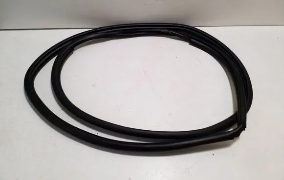 Toyota bZ4X Rear door rubber seal (on body) 