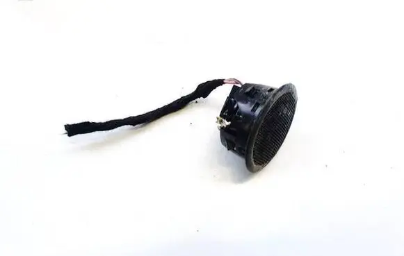 Front door speaker