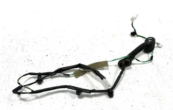 Rear door wiring loom