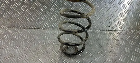 Rear coil spring