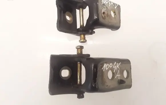 Citroen C5 Rear door hinge set 