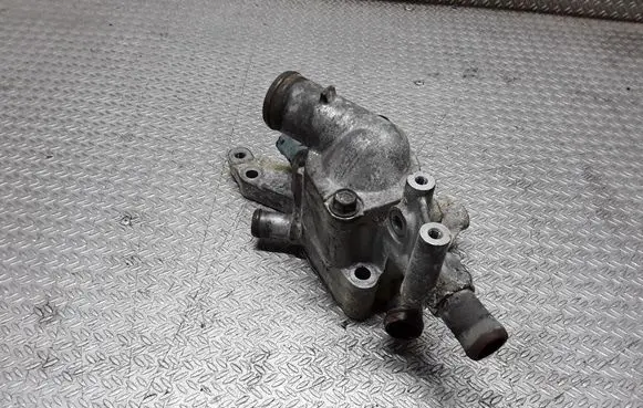 Thermostat/thermostat housing