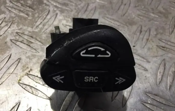 Multifunctional control switch/knob