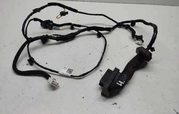 Hyundai i20 (BC3 BI3) Front door wiring loom 91981K7020 916B0Q0AY0 H0DR0048