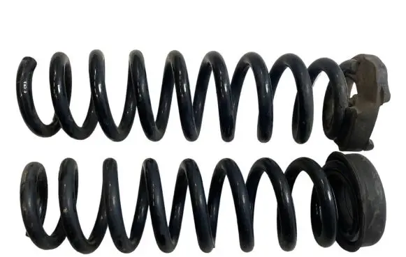 BMW X1 E84 Rear coil spring 6790118