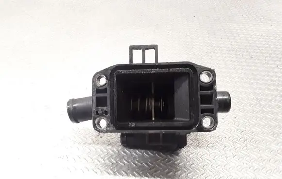 Thermostat/thermostat housing