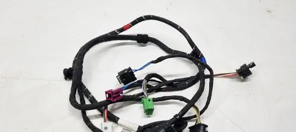 Front door wiring loom