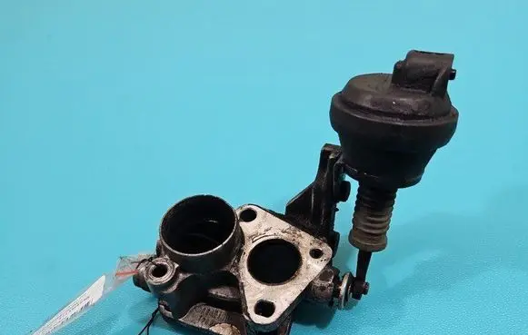 Throttle body valve