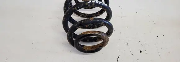 Volkswagen Sharan Rear coil spring 