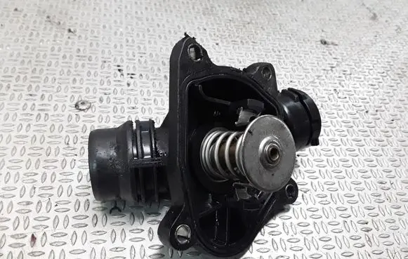 Thermostat/thermostat housing