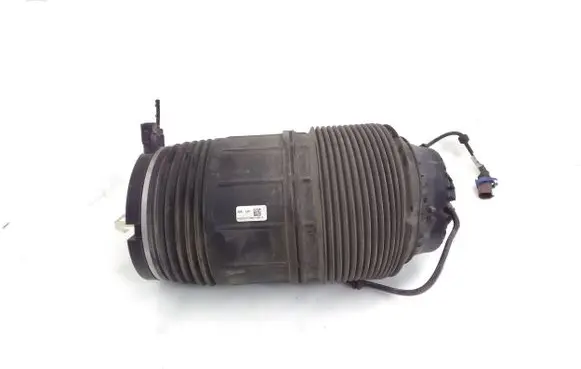 Porsche Panamera (971) Rear air suspension bag/shock absorber 971616025E