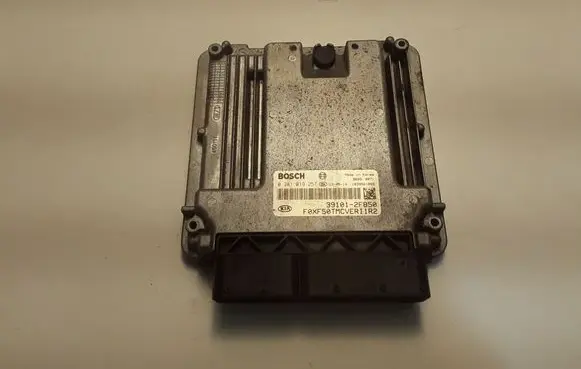 KIA Sorento Engine control unit/module 391012F850