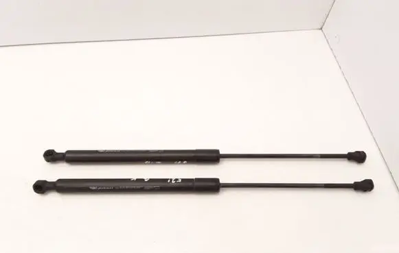 Renault Captur Tailgate/trunk strut/damper 844301324R 844301324
