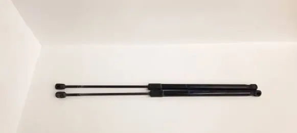 Tailgate/trunk strut/damper