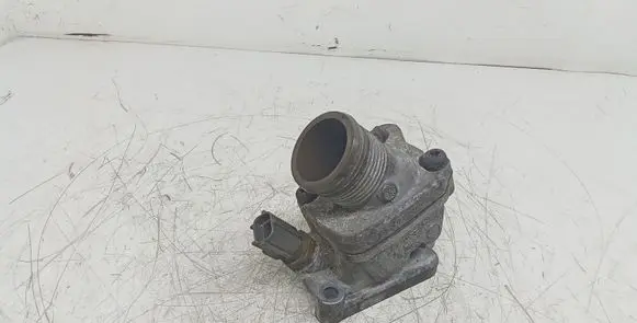 Thermostat/thermostat housing