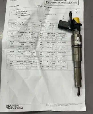 BMW X5 E70 Fuel injector 0445115070
