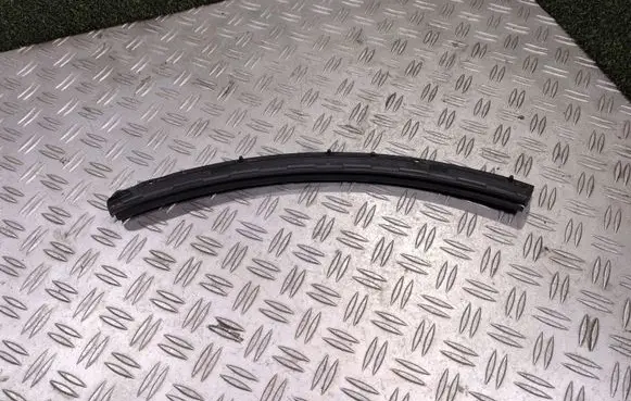 Opel Vivaro Rubber seal front coupe door 808302090R 93451821