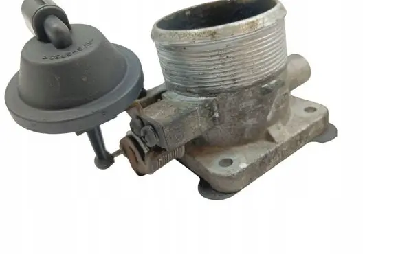 KIA Carnival Throttle valve