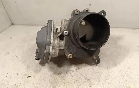 Throttle body valve