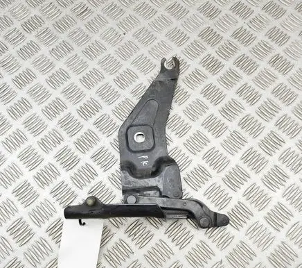 BMW X6 E71 Engine bonnet/hood hinges 7198617