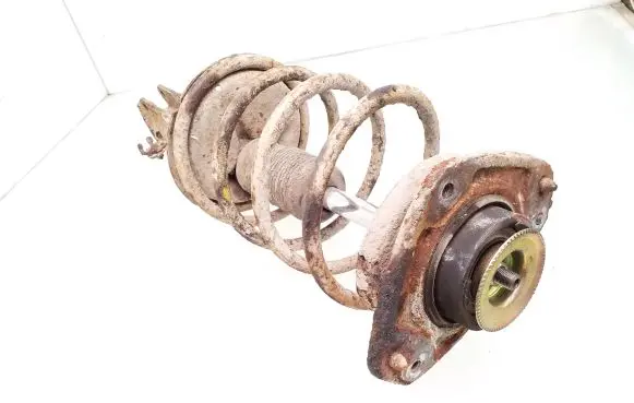 Fiat Bravo - Brava Front shock absorber with coil spring