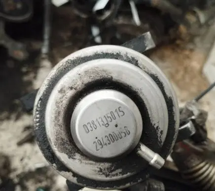 Volkswagen Golf V EGR valve 038131501S
