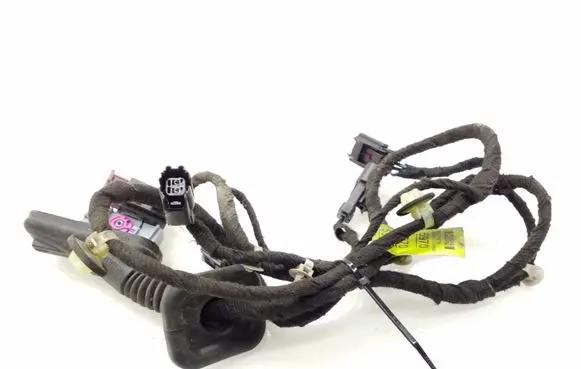 Chevrolet Cruze Rear door wiring loom 95195970