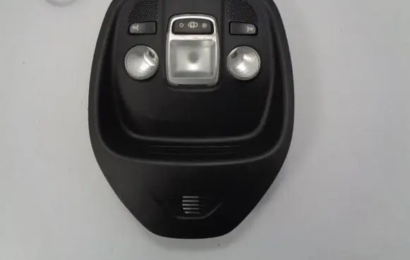 Citroen DS4 Headlining lighting console trim 