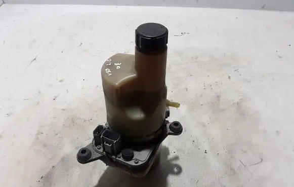 Electric power steering pump