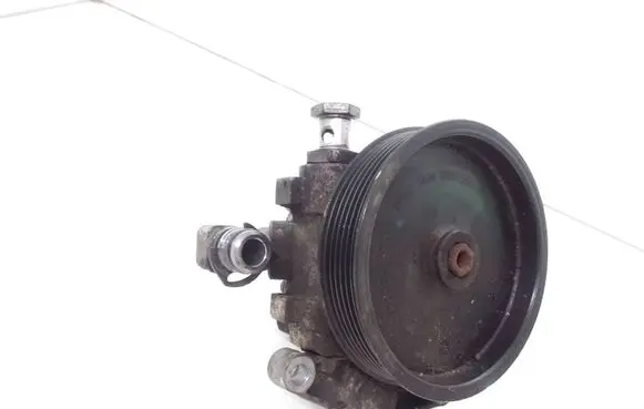 Mercedes-Benz R W251 Power steering pump 0054662201 7691333149