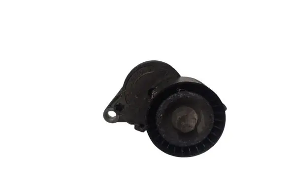 Renault Espace IV Generator/alternator belt tensioner 