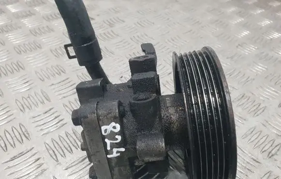 Hyundai Santa Fe Power steering pump 5710026300