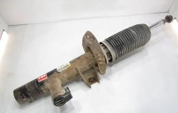 Volkswagen PASSAT B6 Front shock absorber/damper 3C0413031D E4604301 3102130