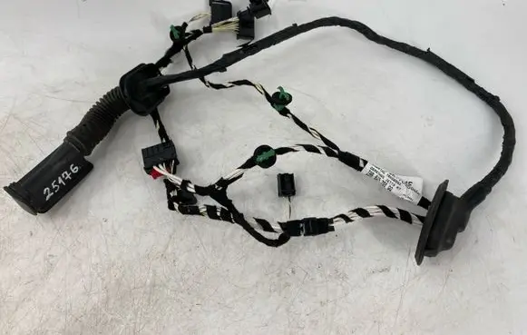 Volkswagen Jetta USA Rear door wiring loom 17A971694F
