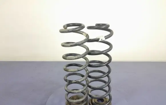 Rear coil spring